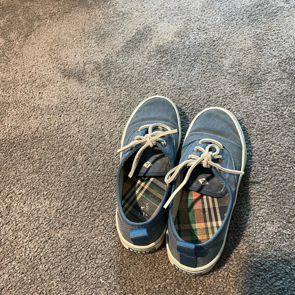 Sperry Navy Canvas Sneakers